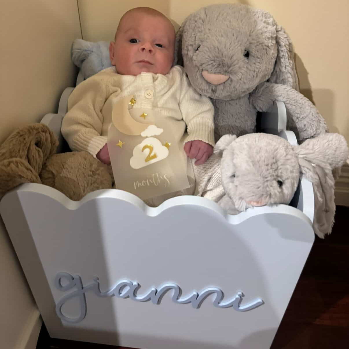 Blue Teddy Toy Box