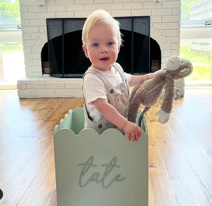 Sage Teddy Toy Box