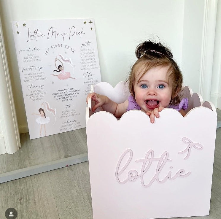 Pink Teddy Toy Box