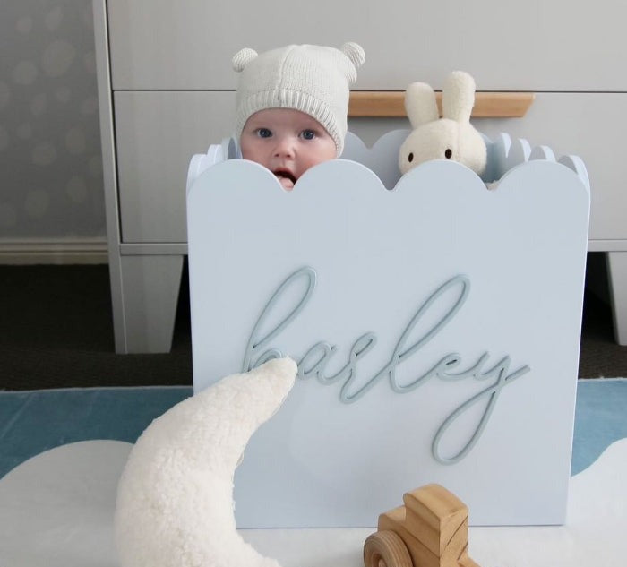 Blue Teddy Toy Box