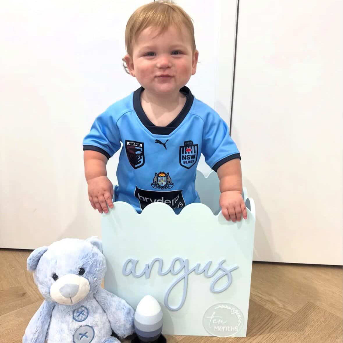 Blue Teddy Toy Box