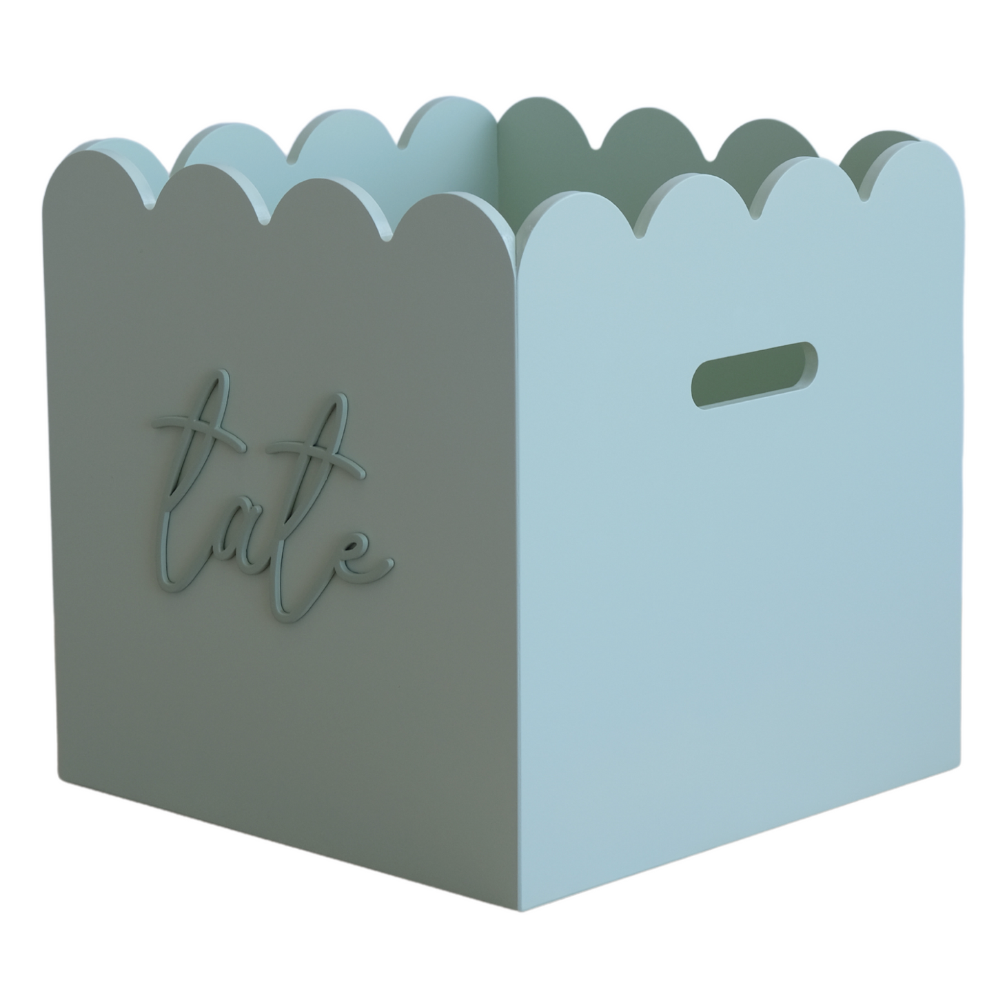 Sage Teddy Toy Box