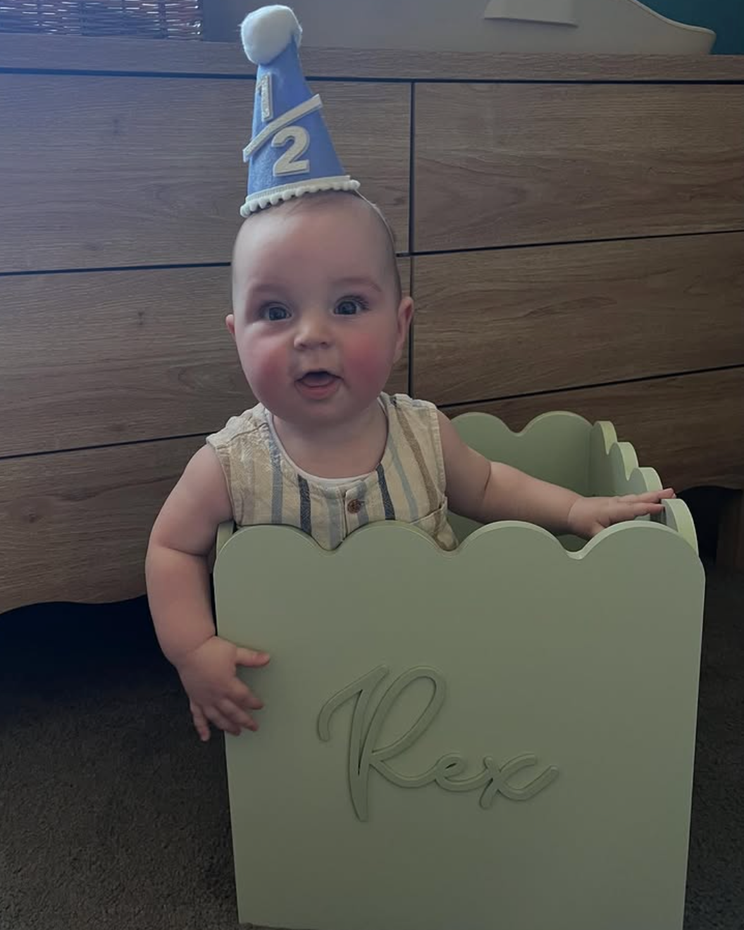 Sage Teddy Toy Box