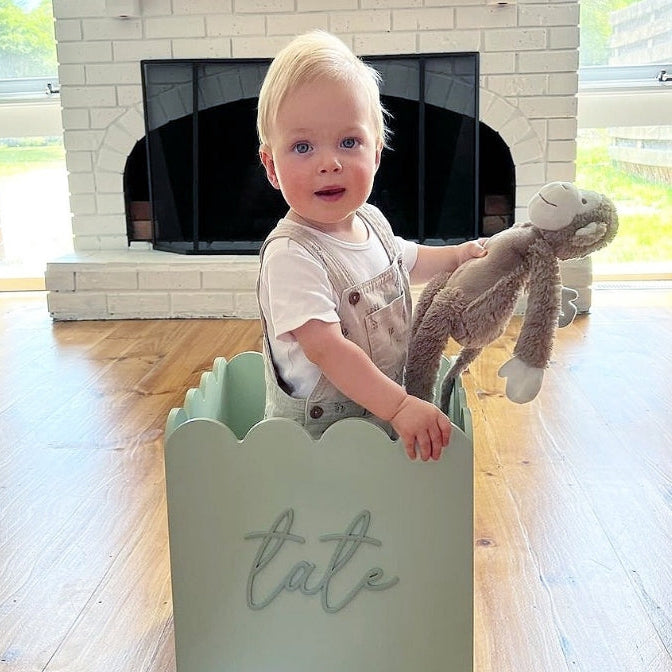 Sage Teddy Toy Box