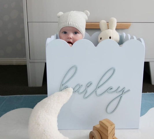 Blue Teddy Toy Box - Feb 2nd Dispatch