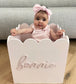 Pink Teddy Toy Box